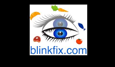 blinkfix.com photo